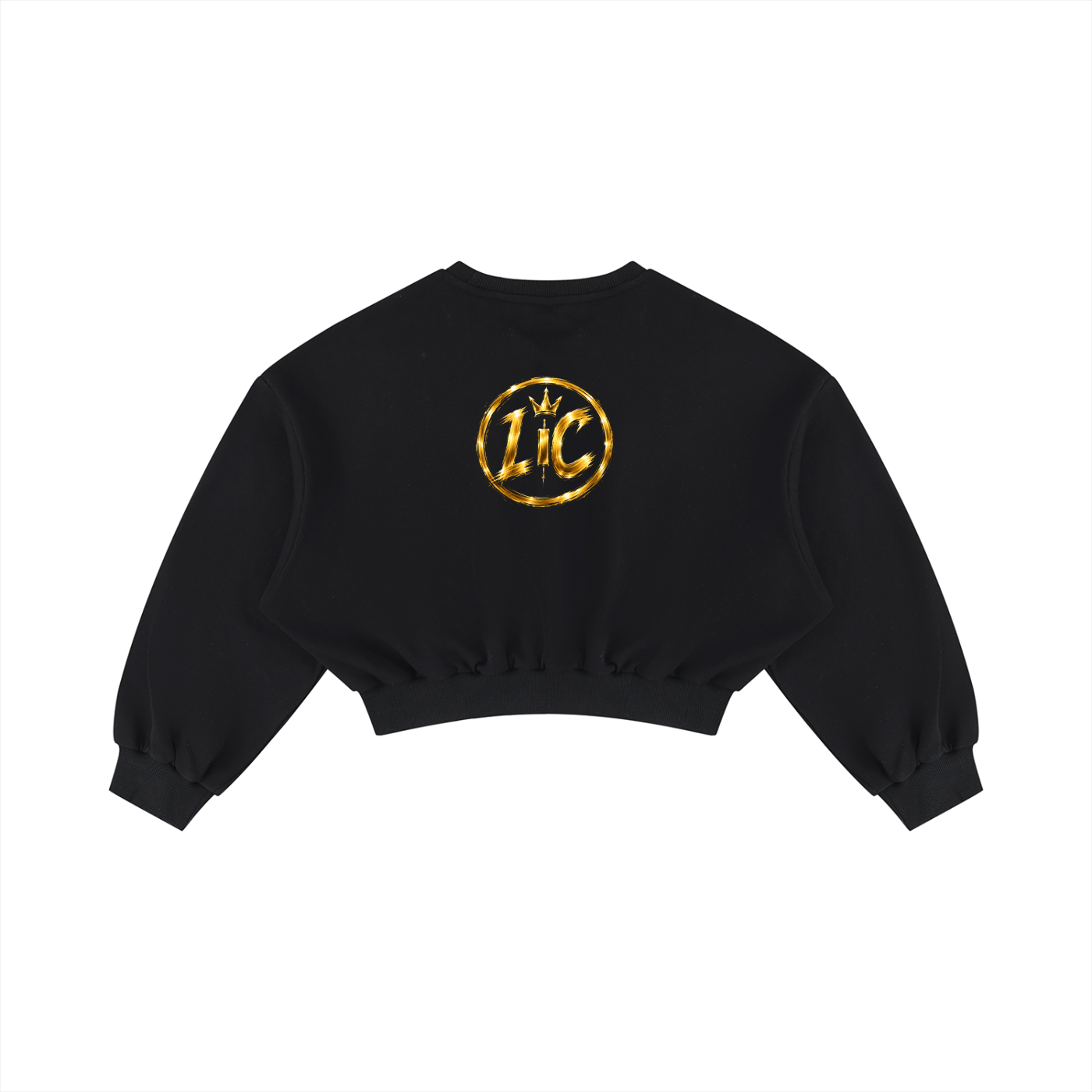 LIFE IN PROFIT Boxy Cropped Crewneck Sweatshirt