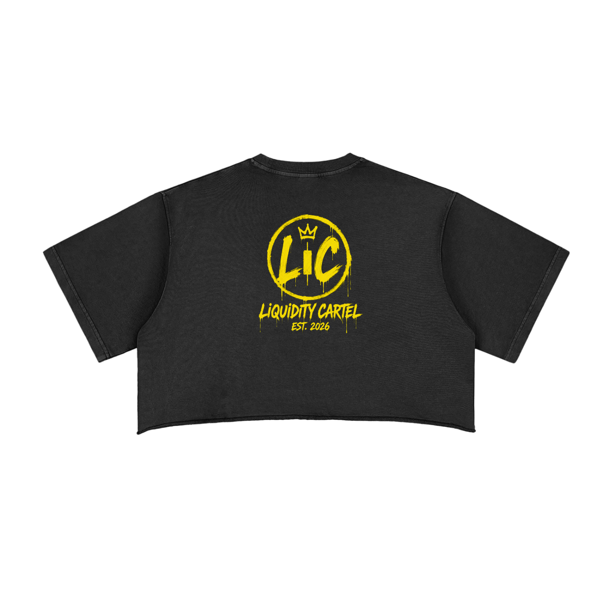STOIC SYNDICATE Snow Washed Boxy Crop Top